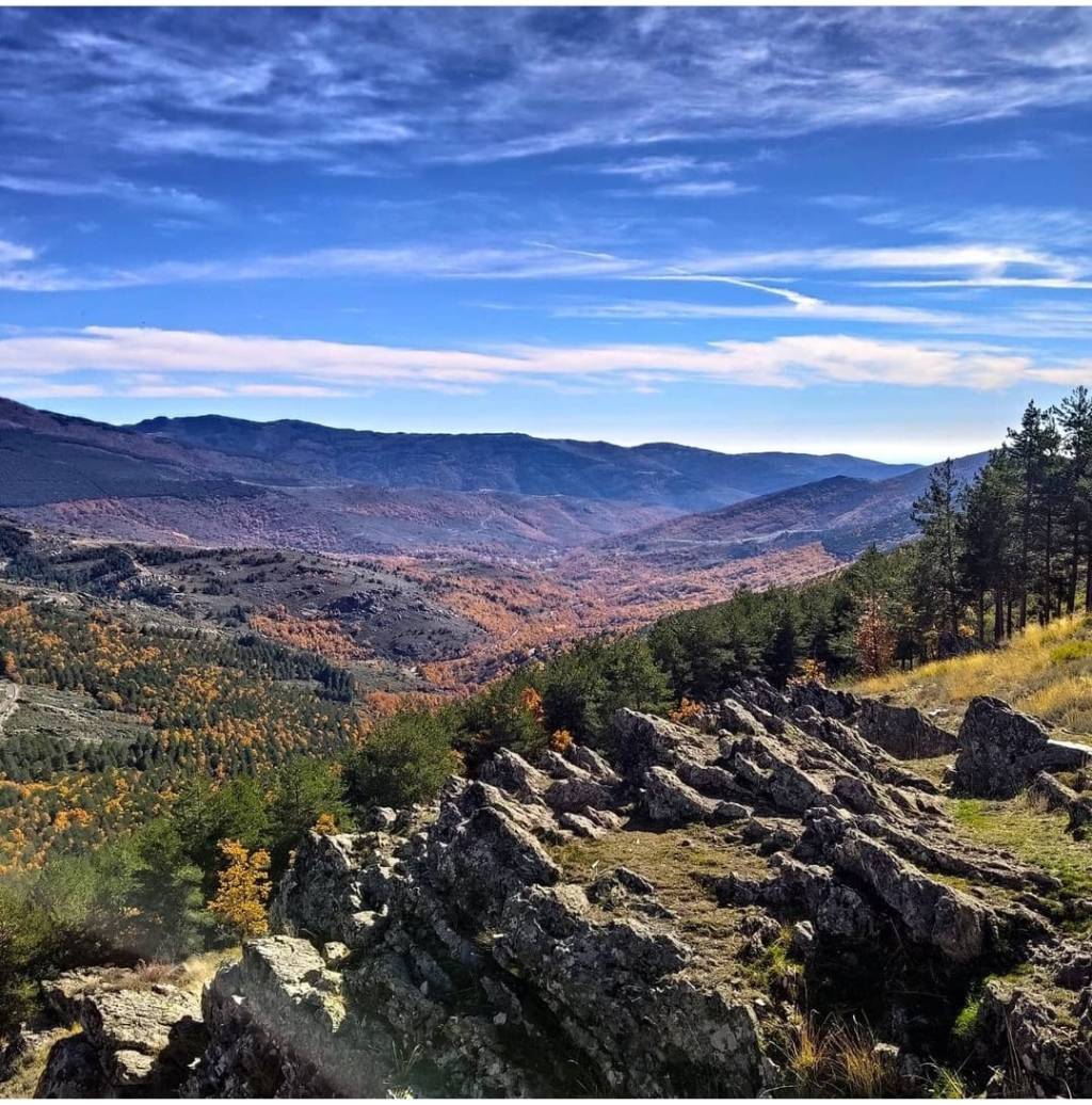 Reserva de la Biosfera Sierra del&nbsp;Rincón